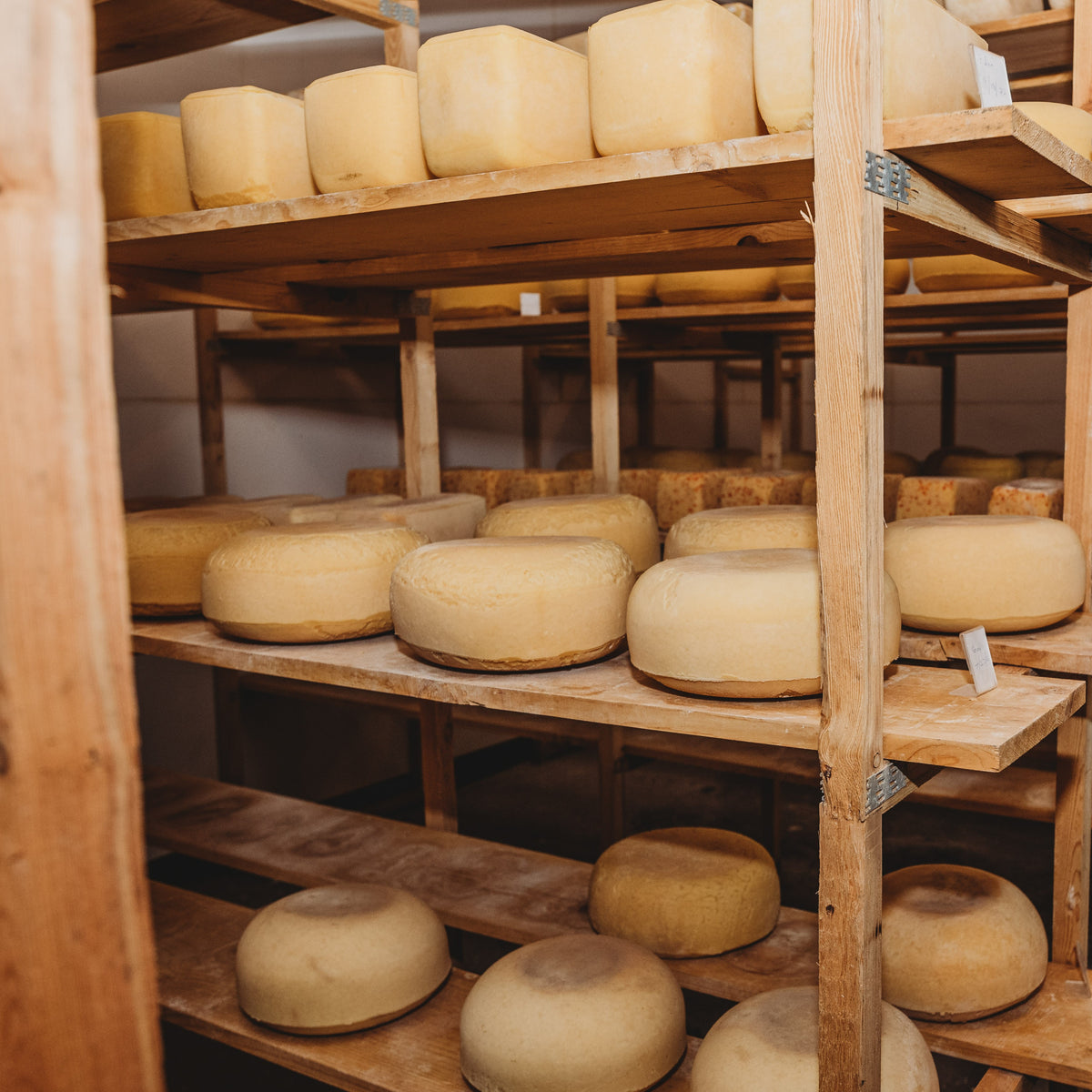 Cool Cow Cheese